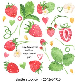 Juicy strawberry watercolor elements set. Bright red berries, green leaves, strawberry flowers. Summer botanical illustration. For packages, cards, logo. Summer sweet berries. Isolated on white.	