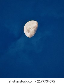 July Waning Buck Moon Setting, Illustration 