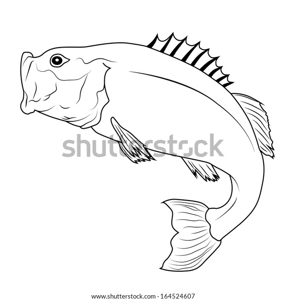 Jumping Bass Fish Outline Illustration Raster Stock Illustration 164524607