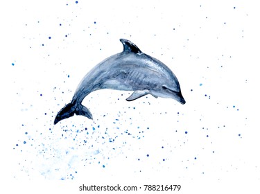 Jumping dolphin watercolor hand draw illustration. Splash drops background.