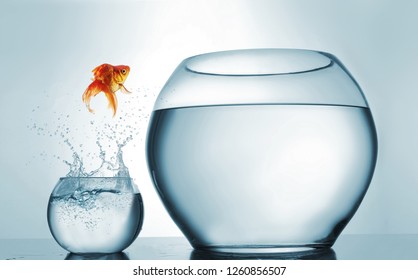 Jumping to the highest level - goldfish jumping in a bigger bowl - aspiration and achievement concept. This is a 3d render illustration