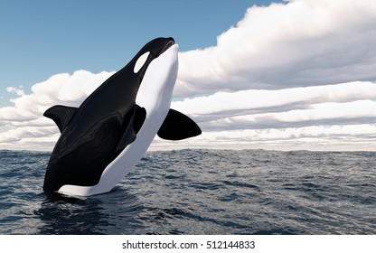 Jumping killer whale
Computer generated 3D illustration