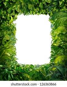 Jungle Border Blank Frame With Rich Tropical Green Plants As Ferns And Palm Tree Leaves Found In Southern Hot Climates As South America Hawaii And Asia With Framed White Isolated Copy Space Center.