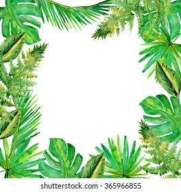 Jungle border blank frame with rich tropical green plants as ferns and palm tree leaves found in southern hot climates as south America Hawaii and Asia with framed white isolated copy space center. 
