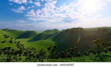 お茶 茶畑 のイラスト素材 画像 ベクター画像 Shutterstock