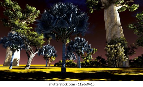  Jungle Sunset