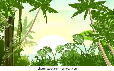 Jungle Tropical Landscape. Plants, Shrubs And Palms. Sky With Clouds And Sun. Cartoon Flat Style. Background Illustration.