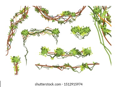 Jungle Vine Branches. Cartoon Hanging Liana Plants. Jungle Climbing Green Plant Collection