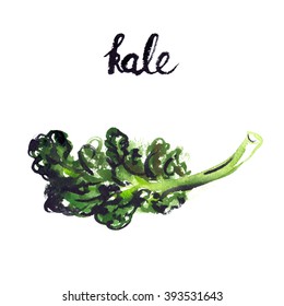 Kale leaf with hand written title painted in watercolor on white isolated background