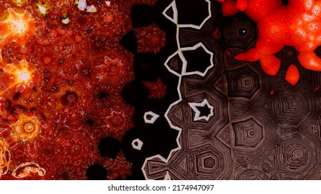 Kaleidoscope Effect Background With Natural Textures Of Animals And Nature Plants Flowers And Food. Fruit