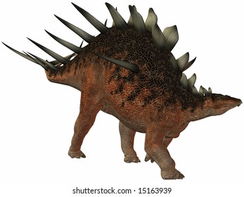 Kentrosaurus Dinosaur Isolated On White Background Stock Illustration ...