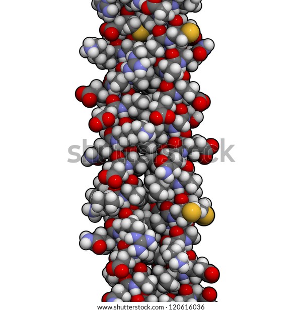 keratin protein