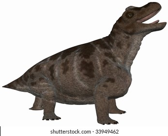 Keratocephalus 3d Dinosaur Stock Illustration 33949462 | Shutterstock