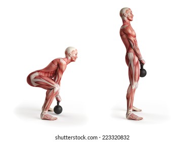 Kettlebell Exercise - Deadlift