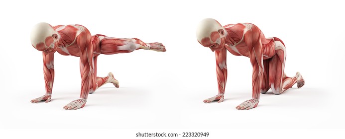 kettlebell exercise - fire hydrant