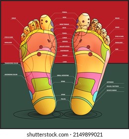 key areas under our feet
 - Powered by Shutterstock