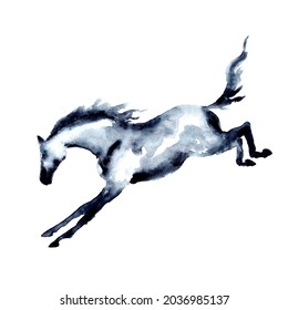 Kicking horse. Watercolor or ink hand painting. Beautiful hand drawing illustration on white. Equestrian silhouette. Young horse in motion. Equine art by artistic brush stroke. Strong stallion
