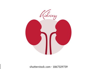 Kidney Clipart Image Blood Purification. Nephrology Clipart