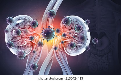 Kidney Disease Concept. Viral Infection. 3d Illustration