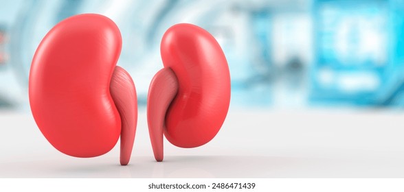 Kidney health and kidney wellness concept. Red kidneys isolated on clinical background with depth of field. 3D rendering - Powered by Shutterstock