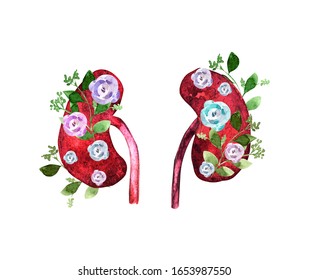 Kidney Human Renal Realistic Front View Stock Illustration 1653987550 ...