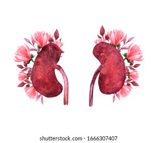 Kidney Human Renal Realistic Front View Illustration Isolated On White Background With Flowers.World Kidney Day Card, Watercolor Illustration With Cute Cartoon Couple Of Kidneys.