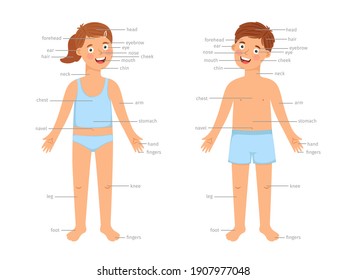 Kids body parts infographic. human body education infographics with cartoon boy and girl children and text labels isolated on white background