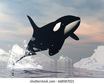 Killer Whale Jump - 3D Render