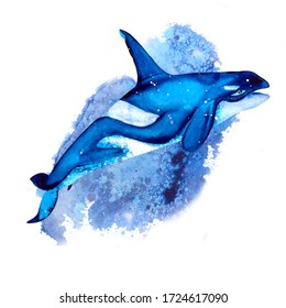 killer whale white background  Watercolor illustrations in simple realistic style for your design   print  For the design invitations  children's albums  textiles  thieves  scrapbooking 