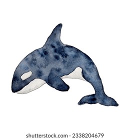 Ballena asesina o orca Orcinus. Habitantes salvajes de los mares y océanos del Ártico. ilustración de la línea de acuarela dibujada a mano. Imagen de animales de mamíferos submarinos para viveros, pegatinas en la pared, tarjeta de saludo