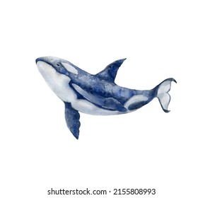 7,979 Underwater World Watercolor Images, Stock Photos & Vectors ...