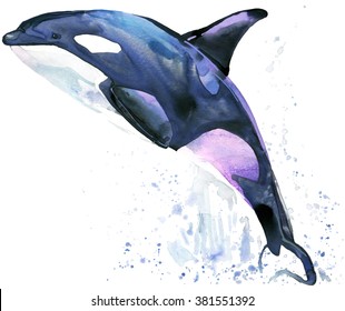killer whale watercolor illustration  Undersea world  Undersea animal