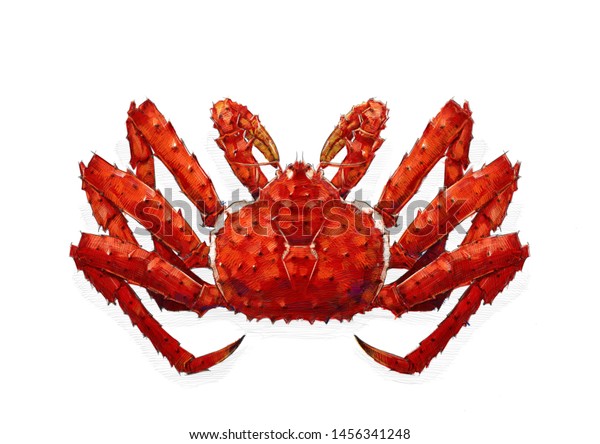 King Crab Colour Pencil Drawing On Stock Illustration 1456341248 |  Shutterstock