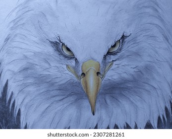 King the sky  Angry eagle drawing  