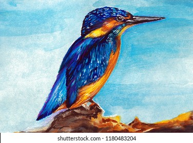 Kingfisher Bird Water Color Drawing Stock Illustration 1180483204