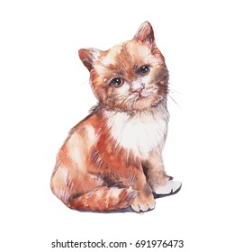 Kitten Watercolor Painting Isolated On White Stock Illustration ...