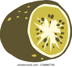 Kiwi Clipart Set Hand Drawn Childish Flat Style Isolated On White Background.