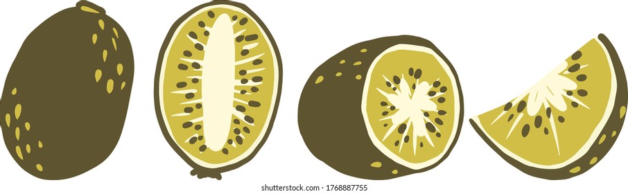 Kiwi, Kiwi Slice, Half Of Kiwi Clipart Set Hand Drawn Childish Flat Style Isolated On White Background.