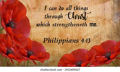 KJV Bible Verse, Philippians 4:13 On Textured Background Having Red Colored Poppy Flowers . Christianity