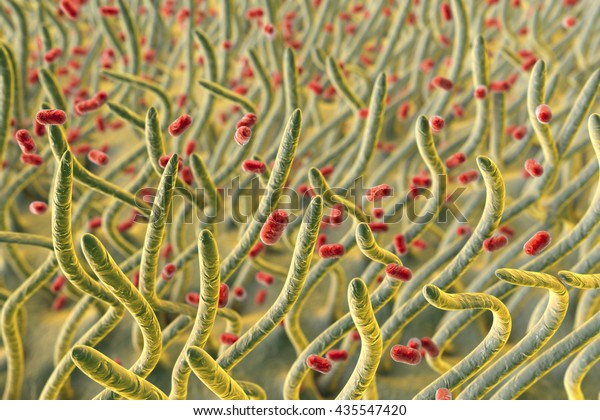 Klebsiella\
pneumoniae bacteria in respiratory tract, 3D illustration showing\
cilia of respiratory tract and\
bacteria