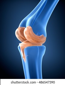 Knee And Titanium Hinge Joint. X-ray View.  3D Illustration 