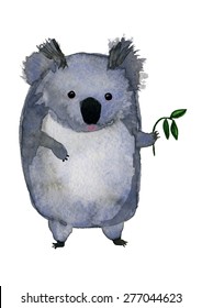 The Koala Bear With Eucalyptus