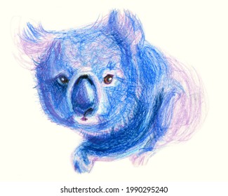 Koala sketch drawn by wax crayons. For postcard, print, fabric, T-shirt, album's cover.
