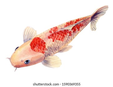 金魚 絵 High Res Stock Images Shutterstock