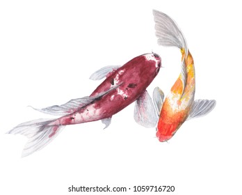 Painting Fish Stock Illustrations Images Vectors Shutterstock