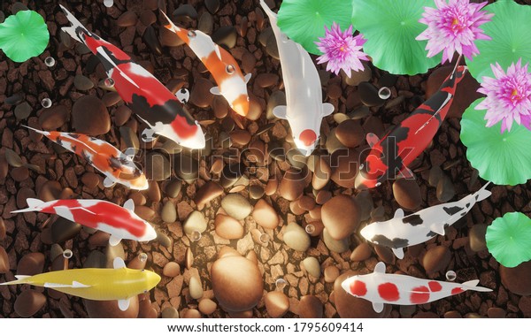 Koi or fancy koi swim in a circle. The floor of the pond has dark stones. Pink lotus flowers in a fish pond. The image reflects good feng shui. 3D Rendering