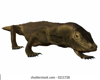 Komodo Dragon Stock Illustration 3211728 | Shutterstock