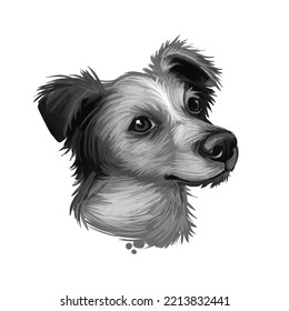 Kromfohrlander, Landr, Kromi Dog Digital Art Illustration Isolated On White Background. Germany Origin Rought Hair Companion Dog. Pet Hand Drawn Portrait. Graphic Clip Art Design For Web Print