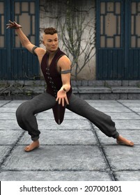 Kung fu master