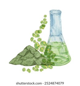 Lab flask with green Chlorella algae cells and algae powder. Seaweed superfood clipart suitable for wellness product packaging, green branding, or educational materials on algae and nutrition - Powered by Shutterstock